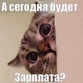В Госдуме предложили ввести зарплаты для родителей детей