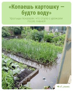 Сады Урала: Как Наводнения Повлияли на Урожай