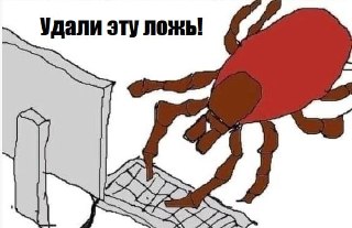 Свердловская область: клещи покусали почти 17,4 тысячи человек