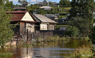 Паводковая вода уничтожает урожай: что нужно знать