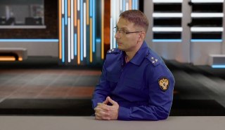 Ситуация с Отловом Бездомных Животных в Нижнем Тагиле Ухудшается