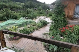 Уничтожение урожая: Как паводки угрожают здоровью