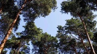 Тимоховский парк в Видном: новое пространство для отдыха вскоре откроется