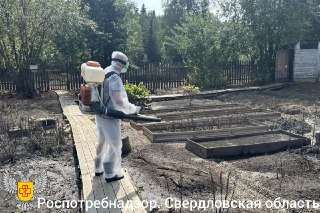 Дезинфекция затопленных территорий в Свердловской области продолжается